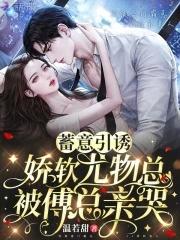 娇软尤物总被傅总亲哭免费