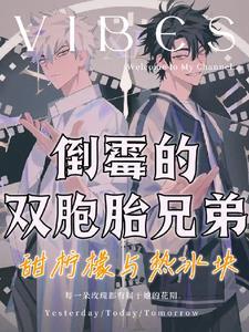 双胞胎兄弟动漫