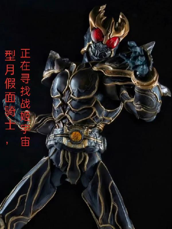 型月vs假面骑士