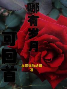 哪有岁月安好下一句