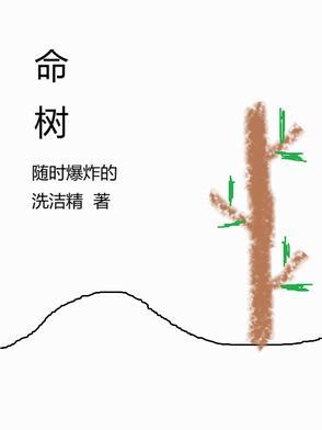 苦楝树为什么叫短命树