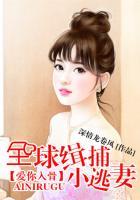 全球缉捕少夫人全文免费阅读
