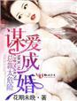 谋爱成婚总裁老公爱上他