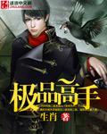 极品高手燕锋笔趣阁