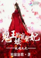 凤呜九天什么意思