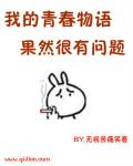 我的青春物语果然有问题在线观看