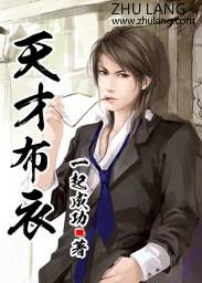 天才布衣有声书