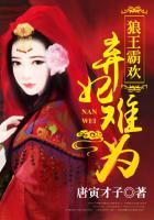 狼王霸欢弃妃难为中的男2