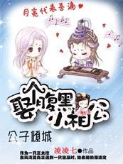 公子绝色腹黑相公太狡猾全本
