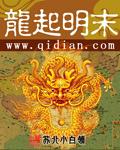 龙起明末TXT全文