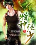 极品特种兵王全文