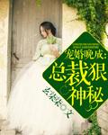 宠婚晚成 总裁狠神秘