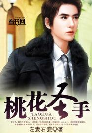 桃花圣手林洛免费阅读无弹窗