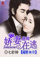 娇妻难逃讲的什么