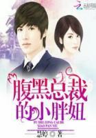腹黑总裁的小萌妻