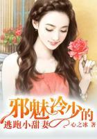 邪魅冷少的替身新娘免费阅读