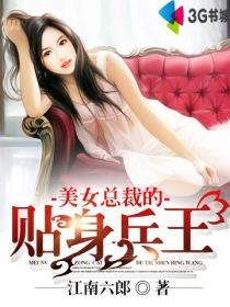美女总裁的贴身兵王叶辰