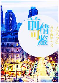 前情可鉴苏尔流年书评