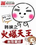 韩娱之天王巨星