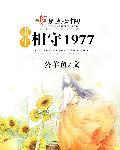重生相守1977断更