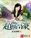 乡村富豪天下