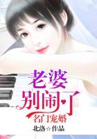 名门宠婚老婆太迷人全文免费阅读