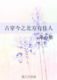 北方有佳人晋江