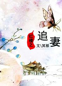 红楼追妻记免费阅读全文无弹窗