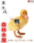甲鸟是什么职业