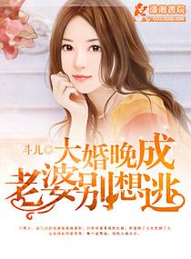 大婚晚成之老婆别想逃 斗儿