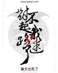 对不起我也迷路了全文阅读