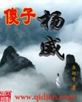 主人公姓杨傻子的官场