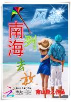 去放风筝翻译
