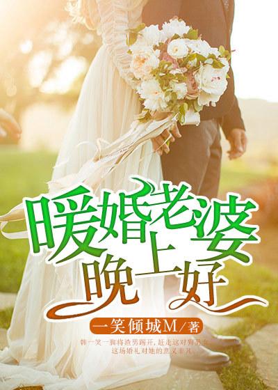 暖婚老婆晚上好陆知夏