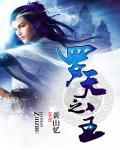 王林罗天之战