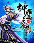 神鹰天骄精品