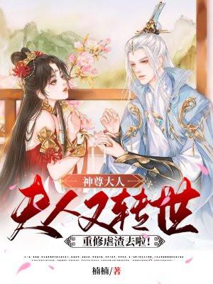 神尊大人,夫人又转世重修虐渣去啦!