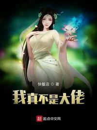 我真不是大佬(罗亮林清清)