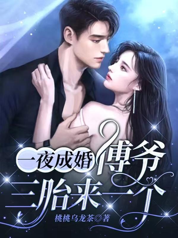 一夜成婚:傅爷,三胎来一个