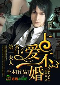 占爱不婚:名门第一夫人