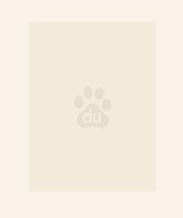 虐死后重生,她带崽二嫁京圈大佬